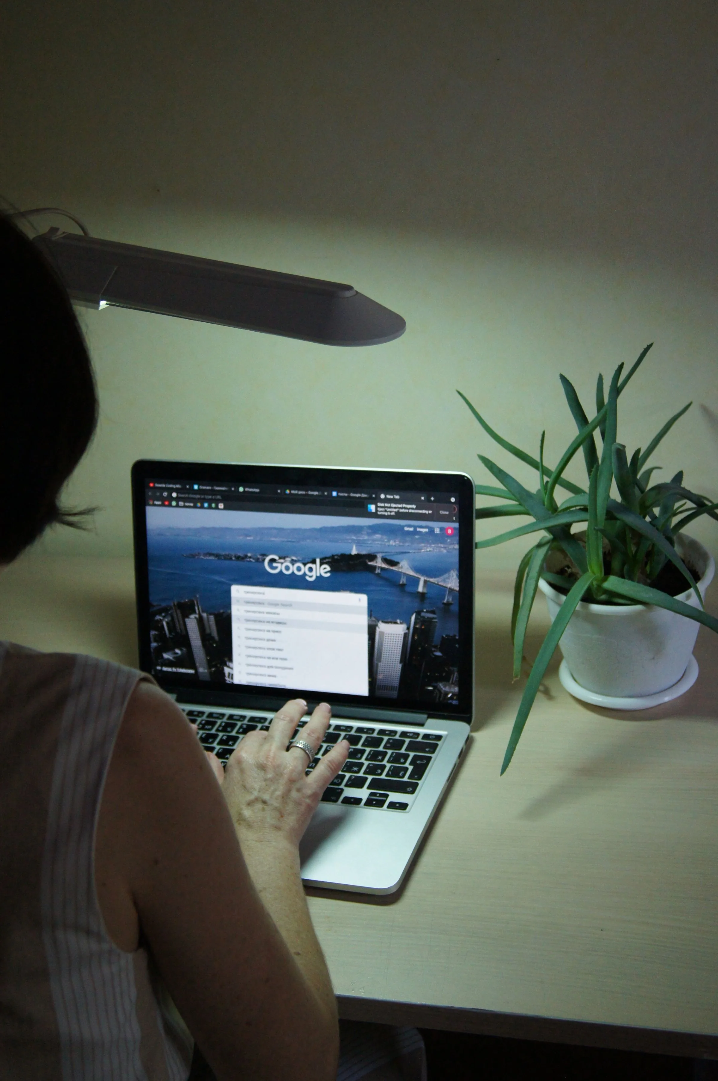 A person searching online on a laptop beside a desk plant.